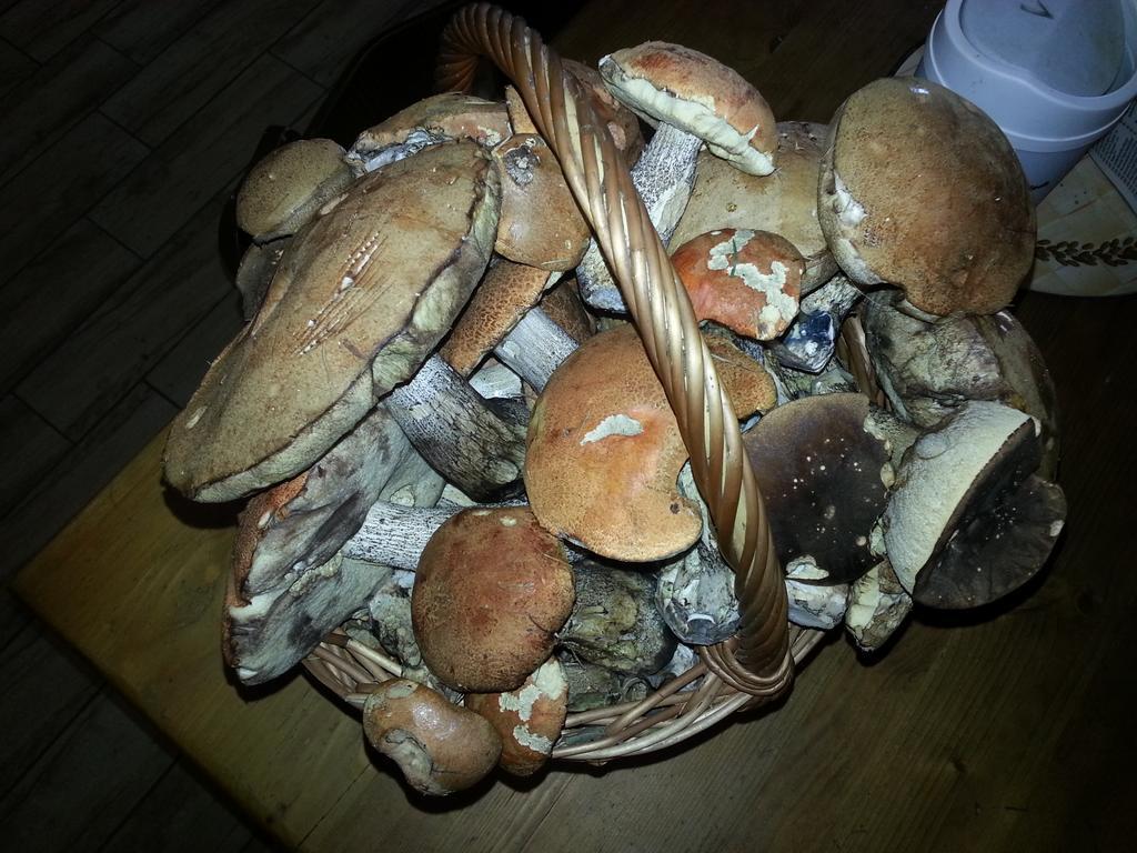 Hospudka Na Perlicku - Prdek Hotel Paseky nad Jizerou Buitenkant foto